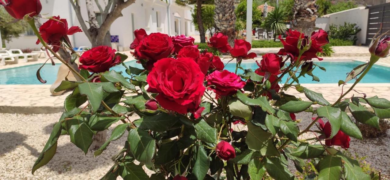 Bed & Breakfast 5 Elementi
